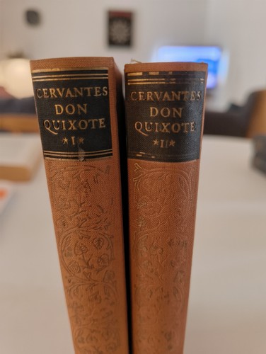 Buch cervantes don quixote - x,